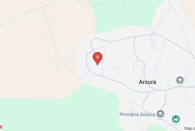 Casă individuală cu 3 camere în Arsura