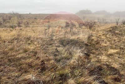 Teren agricol extravilan de 544 mp, în Pădureni (Chinteni) - 6