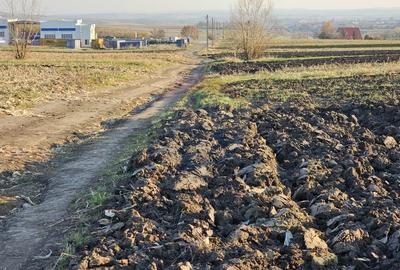 Teren agricol extravilan de 6100 mp, în Stroiești - 14