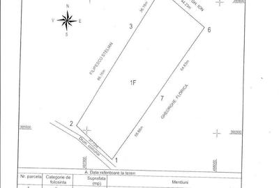 Spațiu comercial, în Stâlpeni - 8