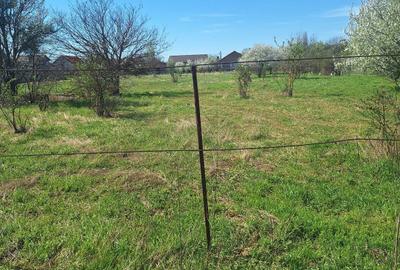 Teren Construcții intravilan de 2262 mp, în Dragomirești-Vale - 9