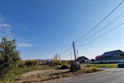 Teren intravilan, cu suprafata de 1900m, parcelabil, situat intr-o zona linistit - 3