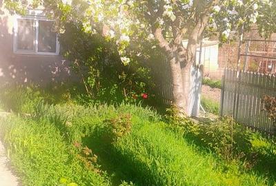 Casă cu 3 camere în Central - 5