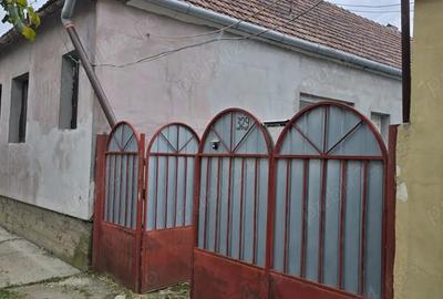 Casa comuna Fibis - 2