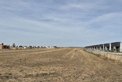 Teren intravilan 16.248 mp - Domnesti - 3