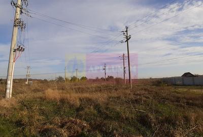 Teren Construcții intravilan de 1137 mp, în 1 Decembrie - 13