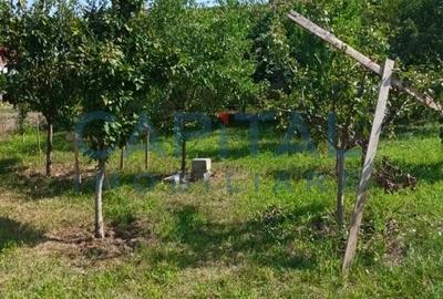 Comision 0%,  Teren - Casa de vacanta - 3