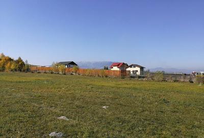 Teren de 2800 mp, în Exterior Vest - 2