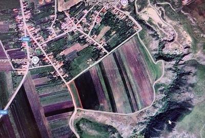 Teren de 5000 mp, în Tureni - 8