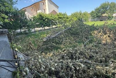 Teren de vânzare. S+P+1E+M - 1