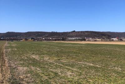 Teren extravilan de 4000 mp, în Mărăcineni - 13