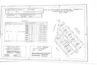 Teren Construcții intravilan de 400 mp, în Malu Mare - 1