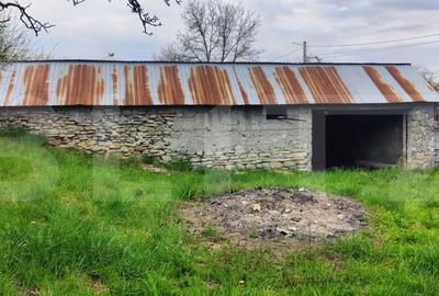 Spațiu comercial, în Gemenea-Brătulești - 16