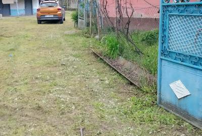 Casa si gradina Casa si gradina - 2