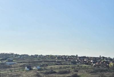 Teren agricol intravilan de 850 mp, în Săldăbagiu de Munte - 1