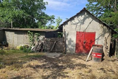 Casă cu Teren 2600 Mp în Movila Miresii - 6
