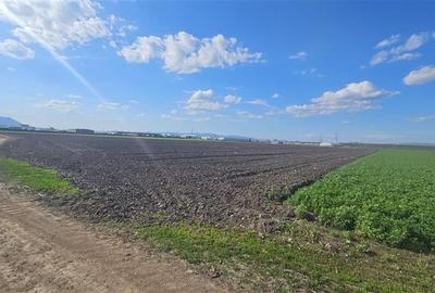 FILM! Teren intravilan, 10.000 mp, Grivitei, Brasov - 12