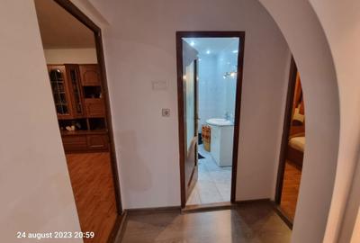 Apartament cu 2 camere decomandat în Beba Veche - 4