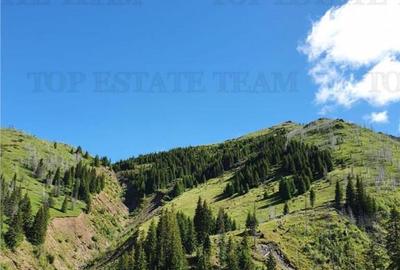 SUPER OPORTUNITATE, DE VANZARE O PROPRIETATE SPECIALA, MUNTE - 1