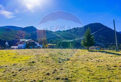 Teren de 13800 mp, în Fundățica - 12