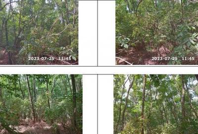 Teren extravilan padure, cota parte de 1/48 Horgesti, ID:... - 5