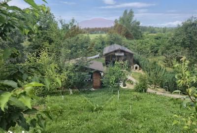 Casă cu 3 camere cu Teren 1268 Mp în Săpânța - 18