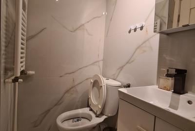 Theodor Pallady/Piata Trapezului,1 minut metrou - 5