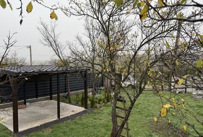 Teren de 974 mp, în Dobromira - 15