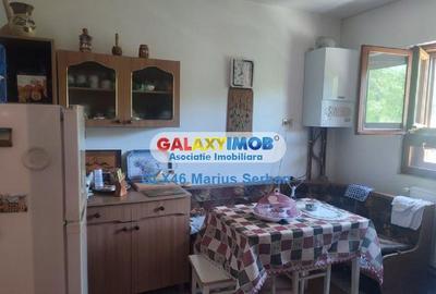 Casă cu 5 camere cu Teren 3657 Mp în Valea Lungă - 8