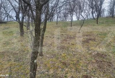 Teren în Schiulești - 2