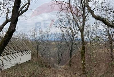 Teren agricol extravilan de 2900 mp, în Independenței - 11