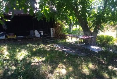 Casă cu Teren 1600 Mp în Central - 2