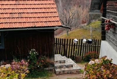 Casă cu 4 camere în Luncani - 1