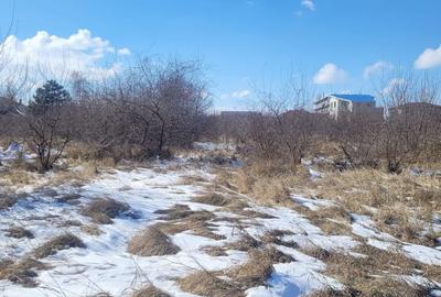 EXCLUSIVITATE! TEREN UNICAT 5831MP ZONA MAMAIA NORD - 4