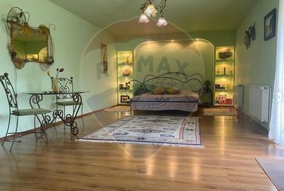 DE VANZARE Vila de vacanta in Pucioasa /Dambovita - 32