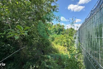 Spațiu comercial, în Siliștea Snagovului - 7