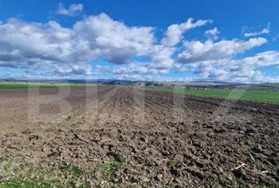 Teren de 15000 mp, în Central - 4