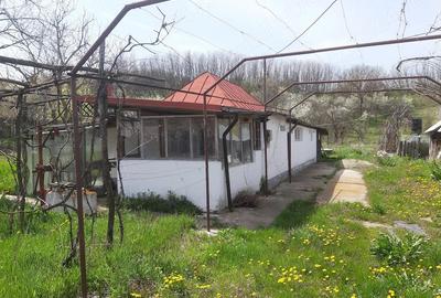 Casă cu Teren 1800 Mp în Colonești - 6