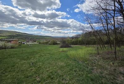 Teren de 5000 mp, în Bârsău