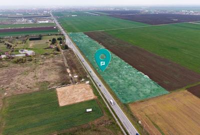 Teren agricol extravilan de 41800 mp, în Vladimirescu - 1
