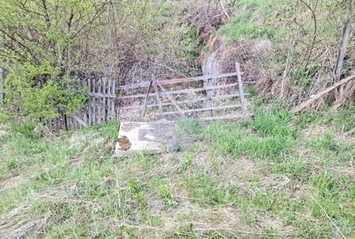 Teren cu vedere la Muntele Ceahlau - 31