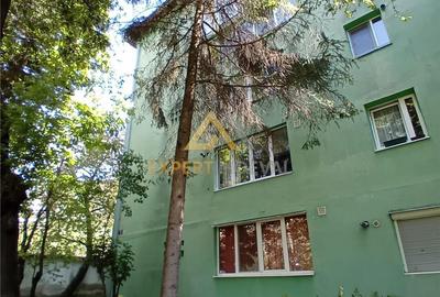 Apartament cu 2 camere în Săsar - 3