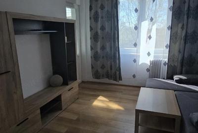 Apartament cu 2 camere semidecomandat în Sălaj - 2