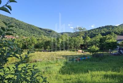 Casă tradițională de vânzare în Fântânele- vedere superba spre munti - 16