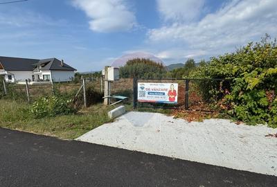De vanzare Teren intravilan in Busag, ideal pentru casa ta! De vanzare Teren intravilan in Busag, ideal pentru casa ta! - 3