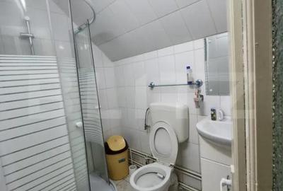 Casă cu 9 camere cu Teren 1500 Mp în Criș - 3