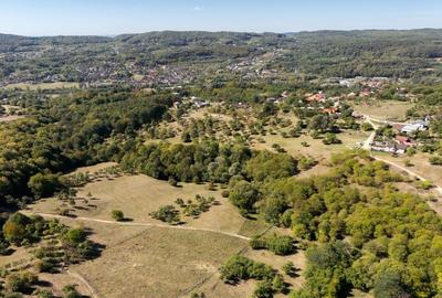 Terenuri 12.225 mp - Aranghel, jud. Valcea - 1