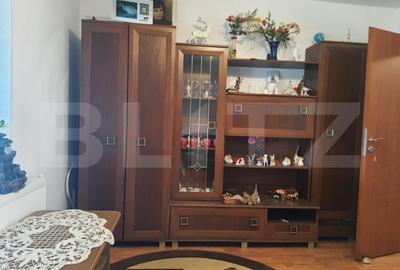 Apartament de vanzare, cu 1 camera, decomandat, bloc izolat,  zona Blascovici - 6