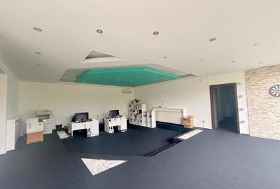 Casa individuala, plan parter in Mehala - 2