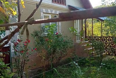 Casă cu 2 camere cu Teren 900 Mp în Tunari - 3